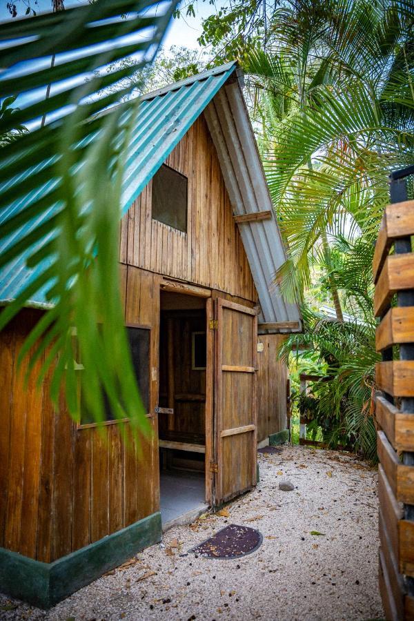 Pura Vida Mini Hostel Santa Teresa Playa Santa Teresa (Puntarenas) Exterior foto
